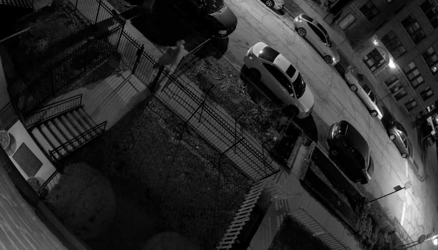 Reolink Camera Two_01_Reolink Home Hub One_20260323001146.jpg